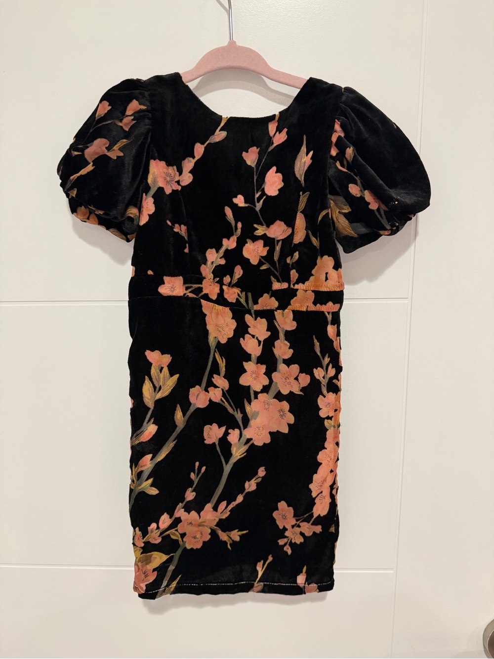 Ivy City Co Black Velvet Dress with Peach Floral Print